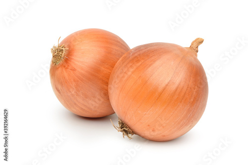 Two bulbs of onions isolated on white background