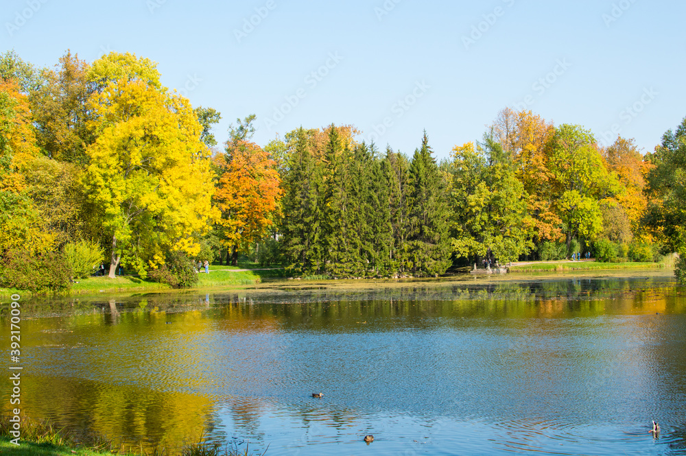 reflection of autumn forest in blue lake in the park reflection of autumn forest in blue lake in the park