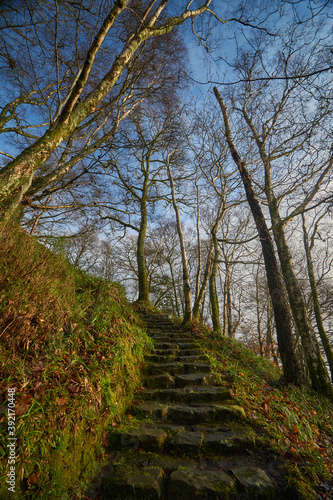 Portrait Stone stairs next to Loch Lomond in Scotland in winter season