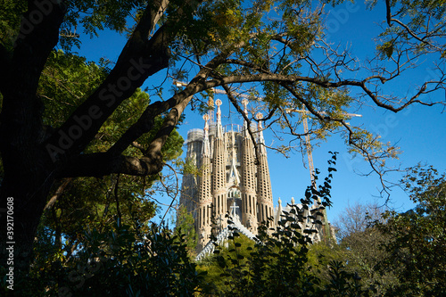 Photography Sagrada Familia view from the trees of the park in front of it