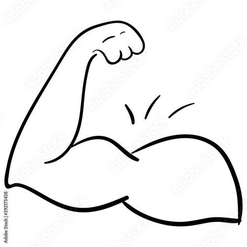 Bicep Muscle 