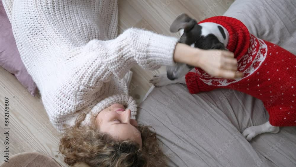 Top view of playful doggy and girl in warm sweaters enjoying their sweet company at home. Christmas & New Year season Top view of playful doggy and girl in warm sweaters enjoying their sweet company at home. Christmas & New Year season