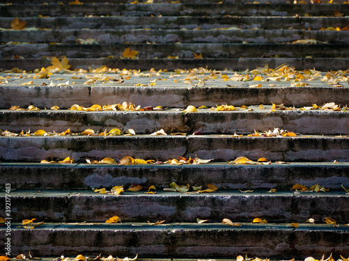 stair steps covered with yellow leaves in autumn