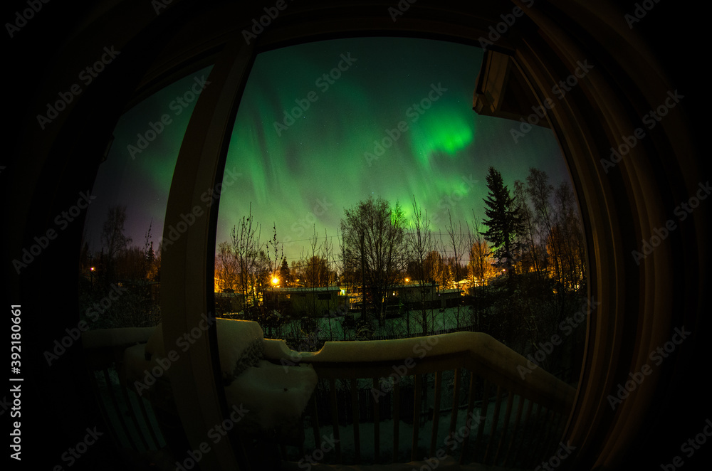 Fototapeta Aurora over Anchorage from back porch.