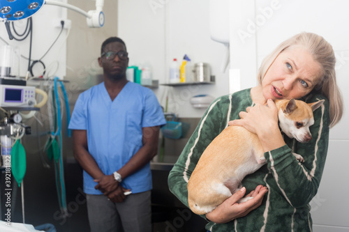 Mature woman with little dog waiting for professional advice from veterinarian