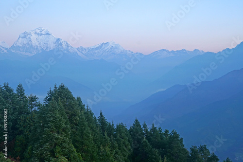 Mt. Dhaulagiri massif with sunrise on himalaya rang mountain in the morning seen from Poon Hill  Nepal - Blue Nature view  
