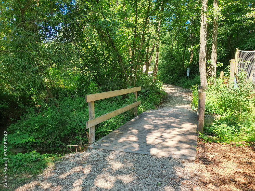 wooden bridge on the path