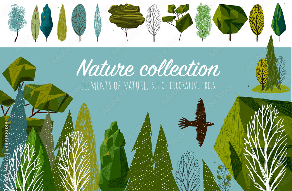 Nature Collection Vector Illustration With Different Trees And