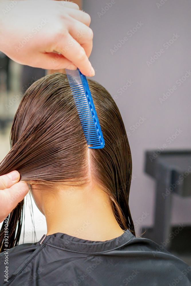 Obraz premium Back view of hairdresser hands parting long hair of young woman in hair salon