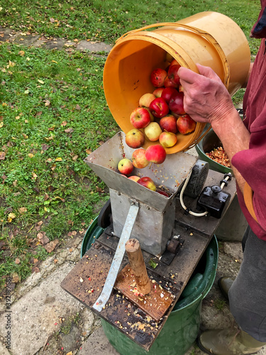 Preparation of apple cider - juice. Pressing apple juice with a small apple press, before making cider with it