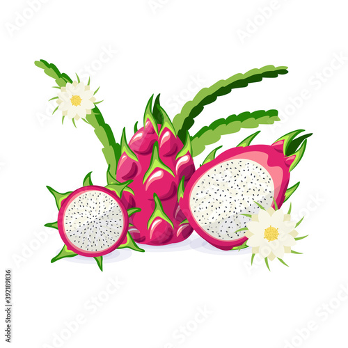 Set of pitaya vectors. Dragon Fruit whole, halves, leaves, flower isolated on white background. Juicy, bright tropical fruits. Cartoon style. 