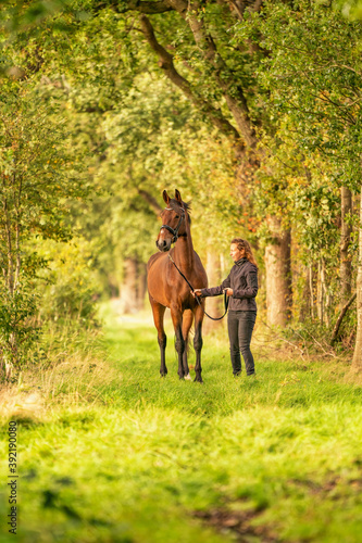 A brown horse and a young woman,on a forest trail in the autumn evening sun