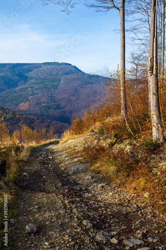 Fototapeta Naklejka Na Ścianę i Meble -  Autumn landscape of the Beskids mountains. Mountain trails in the Beskids in Poland.