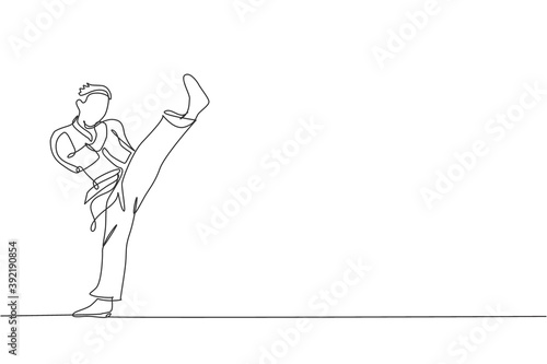 One continuous line drawing of young talented karateka man train pose for duel fighting at dojo gym center. Mastering martial art sport concept. Dynamic single line draw design vector illustration