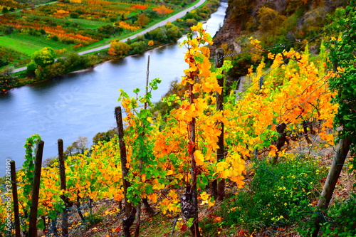 herbstlich gefärbtes Unteres Moseltal im Bereich Winninger Brücke und Dieblich photo