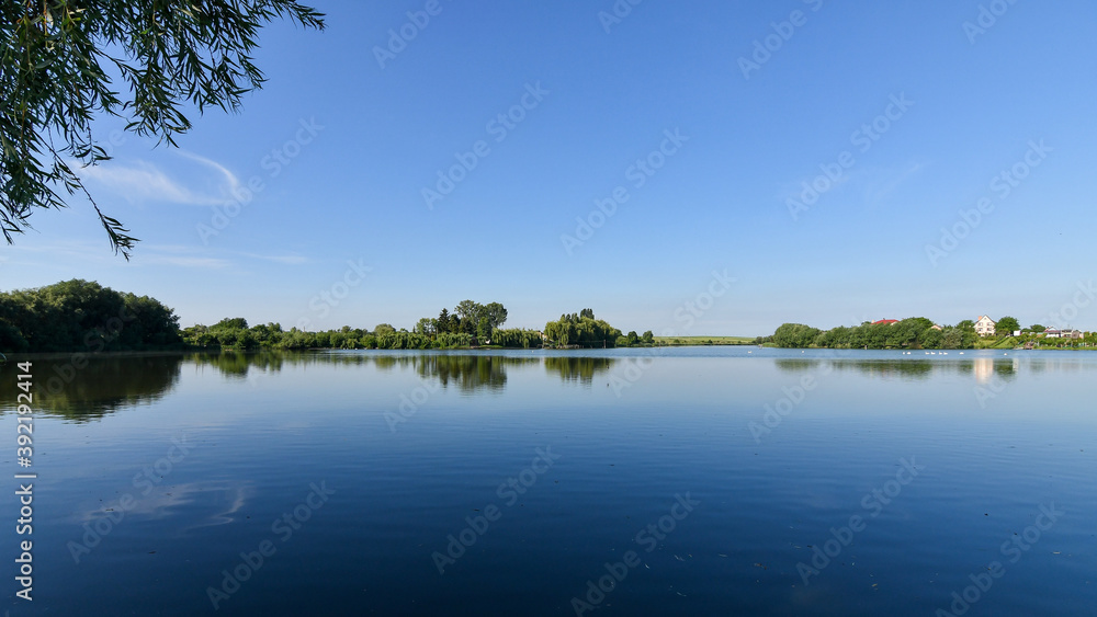 Trees reflected in the water surface of the lake on a calm summer morning. Trees reflected in the water surface of the lake on a calm summer morning.
