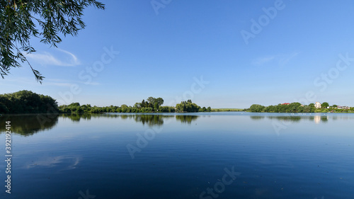 Trees reflected in the water surface of the lake on a calm summer morning.