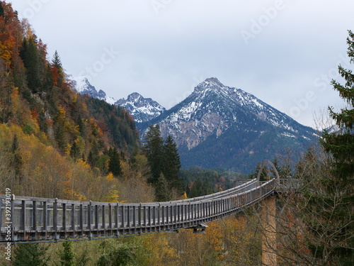 Fototapeta Naklejka Na Ścianę i Meble -  Weg auf hohen Stegen und kleinen Brücken durch Baumkronen bei Füssen im Allgäu