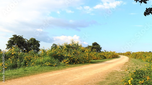 road in the countryside