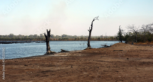 Landscape The Gambia