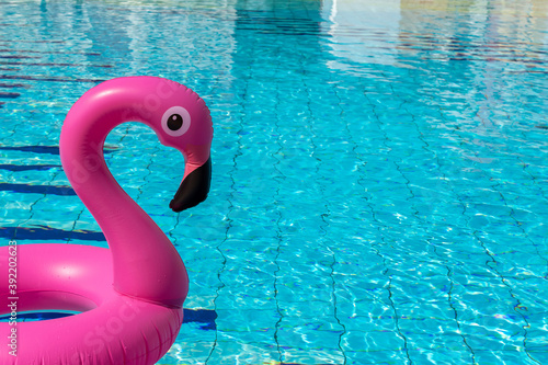 Flamingo isolated. Pink inflatable flamingo in pool water for summer beach background. Pool float party. © Maksym
