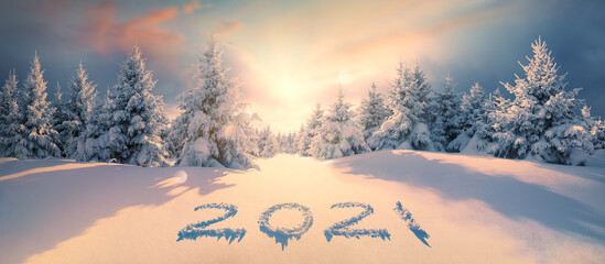 2021 on snow in winter forest
