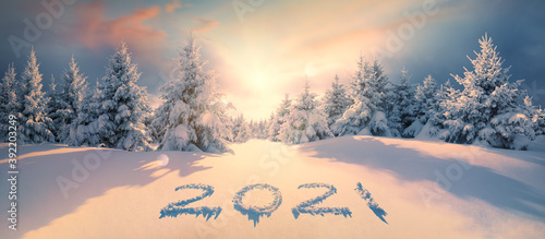 2021 on snow in winter forest
