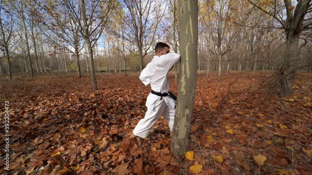 Karate fighter with black belt beating a tree to strengthen his hands and arms outdoors in an autumn landscape. Traditional karate Wado Ryu Karate fighter with black belt beating a tree to strengthen his hands and arms outdoors in an autumn landscape. Traditional karate Wado Ryu