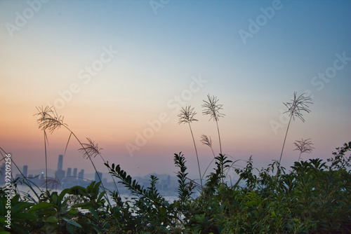 grass against sunset sky, in Devil's Peak, Yau Tong, Hong Kong