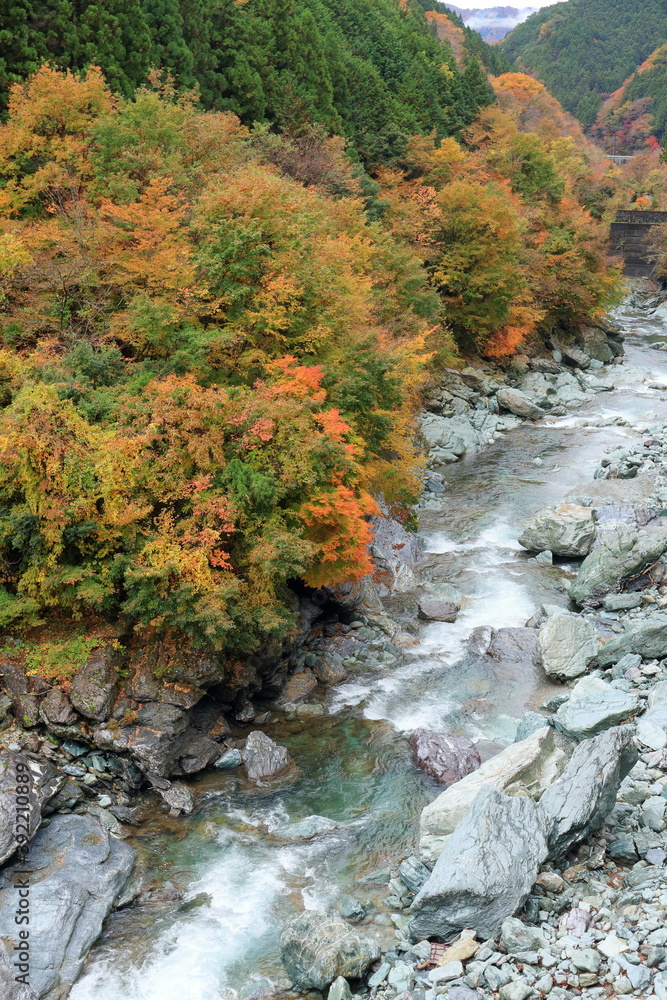 祖谷渓 荒々しい渓谷 秋 (徳島県 東祖谷) 祖谷渓 荒々しい渓谷 秋 (徳島県 東祖谷)