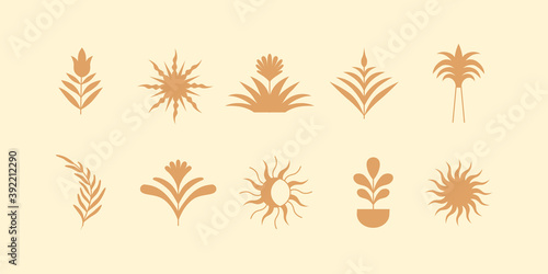 Vector design element  in simple modern style - decorative vases with leaves and plants