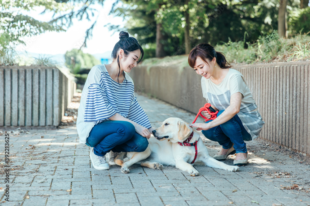 犬の散歩をする女性たち
犬の散歩をする女性たち