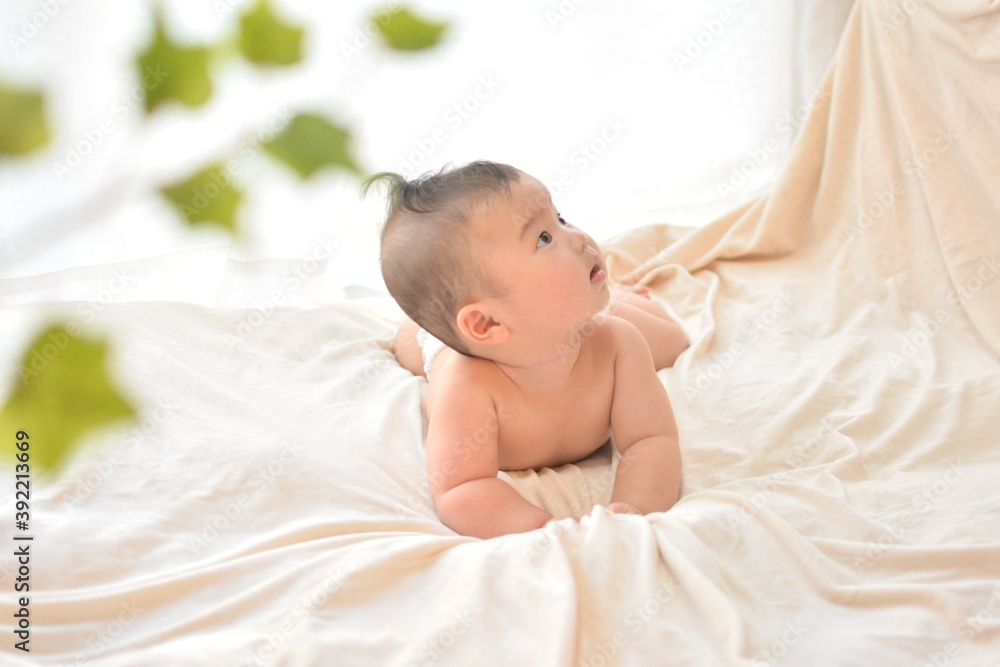 6ヶ月の赤ちゃん 6ヶ月の赤ちゃん