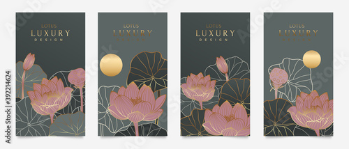 Luxury cover design template. Lotus line arts hand draw gold lotus flower and leaves. Design for packaging design, social media post, cover, banner, creative post, Gold geometric pattern design vector