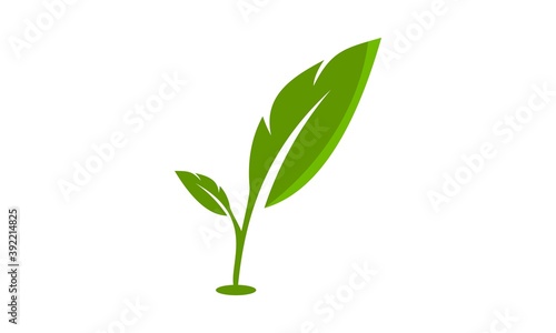 green leaf symbol vector