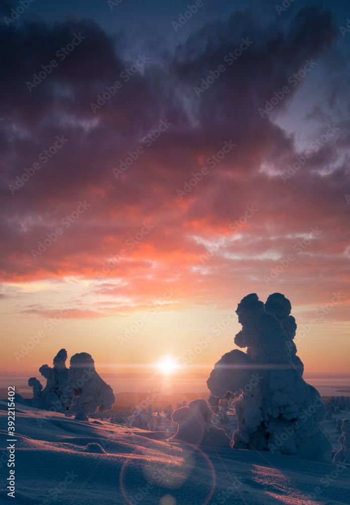 Beautiful winter landscape against the rising sun