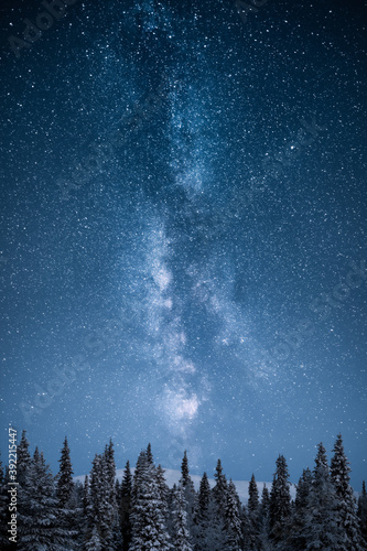 Epic milky way above snowy trees and hills