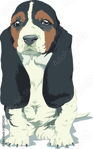 Vector illustration of a dog