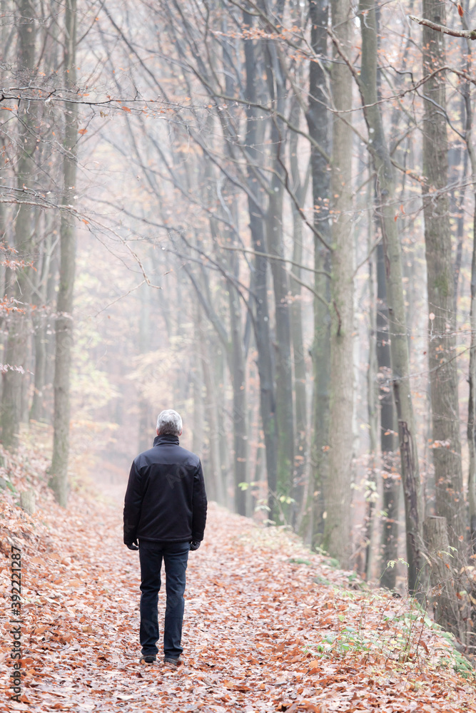 Mature or senior man walking alone in a forest in autumn or winter