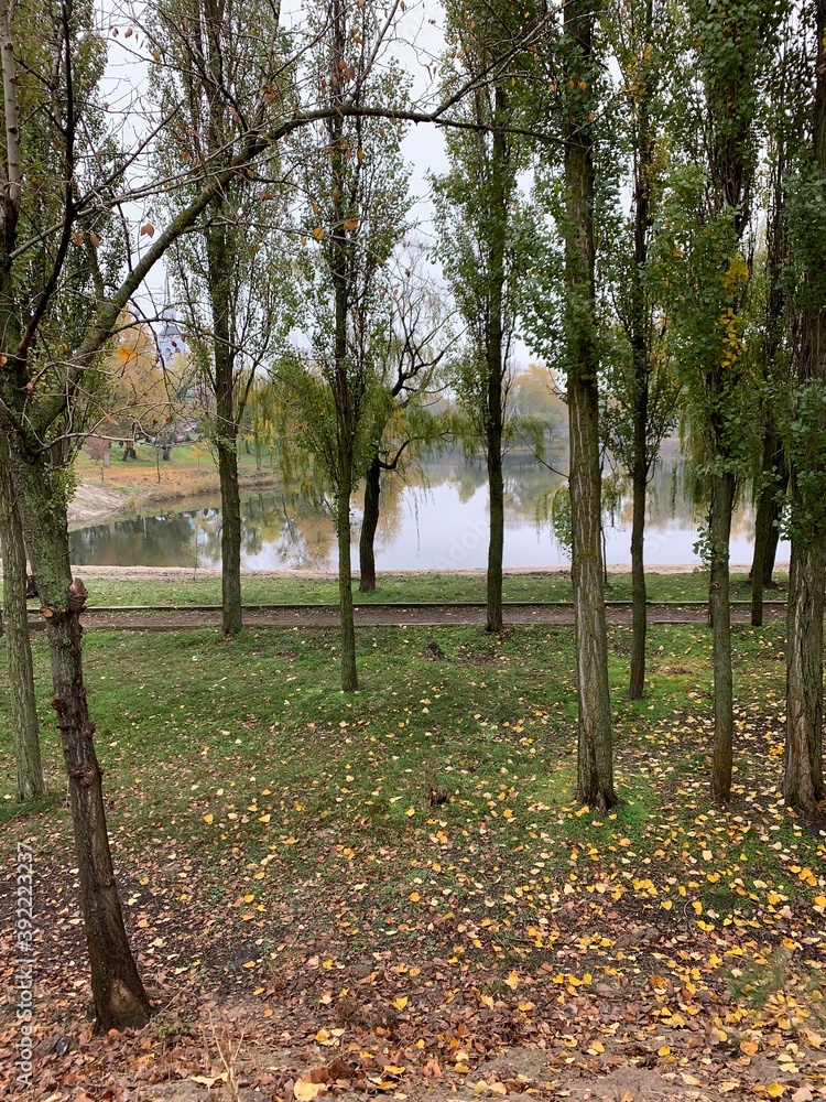 Autumn trees in the park near the lake Autumn trees in the park near the lake
