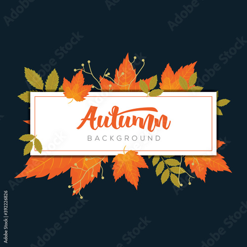 Autumn frame background with colorful leaves