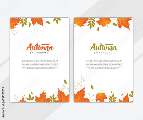 Set of autumn and plants background creative universal cover design templates