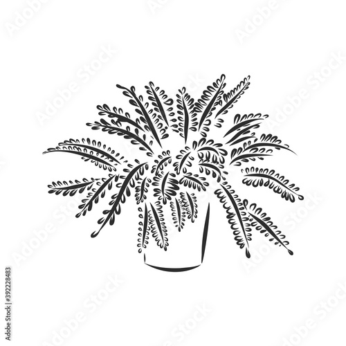 Line art plant in pot. Contour drawing of vector set of black and white house plants sketches. Isolated potted florals illustration. indoor plant vector sketch illustration