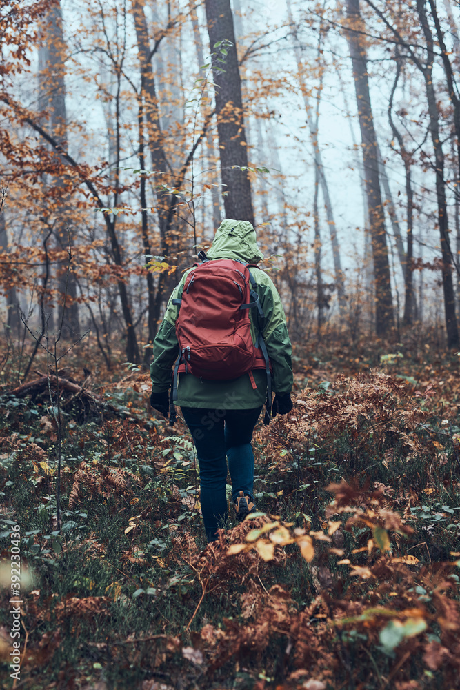 Woman with backpack wandering in a forest on autumn cold day. Back view of middle age active woman going along forest path actively spending time Woman with backpack wandering in a forest on autumn cold day. Back view of middle age active woman going along forest path actively spending time