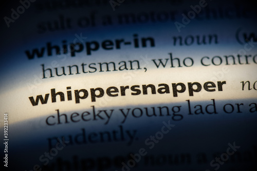 whippersnapper