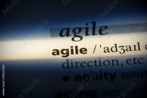 Obraz na płótnie agile