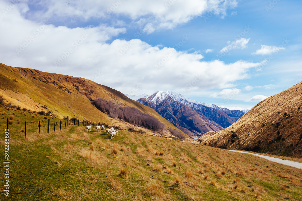 Moke Lake Near Queenstown in New Zealand Moke Lake Near Queenstown in New Zealand