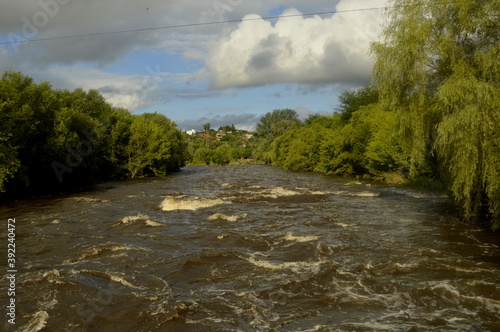 view of a swollen river after a rain, with lush green trees alongside
