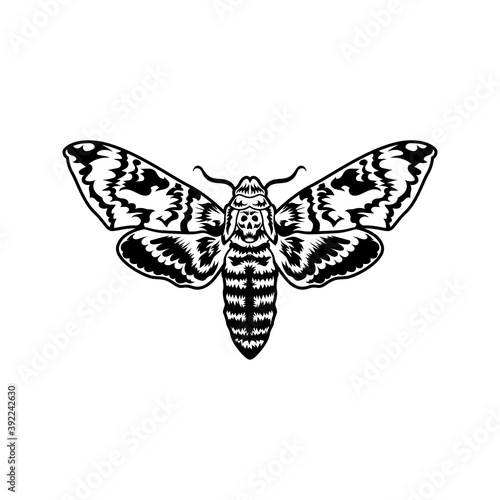 Mystical moth with skull vector illustration. Monochrome butterfly with death symbol. Insect or gothic culture concept emblems and tattoo templates