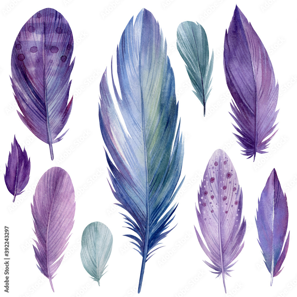 Set of abstract feathers on white background, watercolor illustration Set of abstract feathers on white background, watercolor illustration